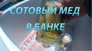 сотовый мед в банке