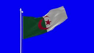 Algeria Flag Blue SCREEN Close and Long Shot