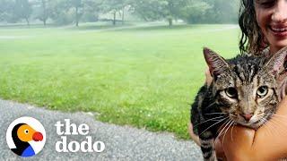 Couple's First House Comes With A Cat | The Dodo