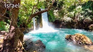 Golan Heights. On The Border with Lebanon. Hermon Stream (banias). Nature Reserve