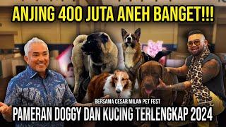 ANJING 400 JUTA ANEH BANGET !!! PAMERAN DOGGY DAN KUCING TERLENGKAP 2024 #AudreyA #KINGOFTHEJUNGLE