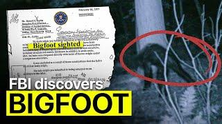 The FBI Investigation That Proved The Existence of Bigfoot