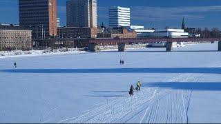 Vinter i Umeå