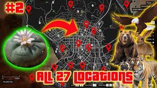 GTA 5 -  All 27 Peyote Plants Location Guide in Story Mode (XBOX, PC, PS4, PS5)