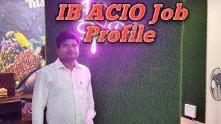 IB ACIO Job Profile