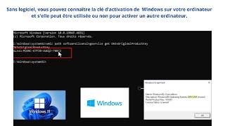 Sans logicile, vous pouvez connaître la clé d'activation de Windows et si elle peut activer un autre