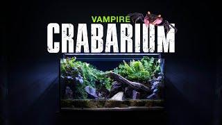  I MADE VAMPIRE CRAB ECOSYSTEM PALUDARIUM WITH WATERFALL (STEP BY STEP GUIDE)