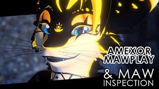 [MAWPLAY] Amexor Mawplay & Maw Inspection