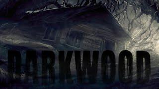 Lost In the Darkwood - Ambient Sounds / Music - [3 Hours]