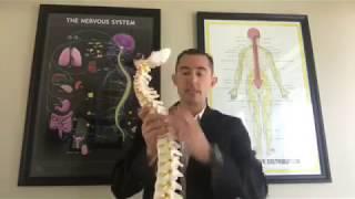 How Does Chiropractic Work? - Tucson - Chiropractor