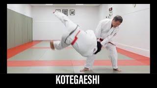 KOTEGAESHI Japanese Jujutsu