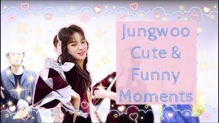 Jungwoo Cute & Funny Moments