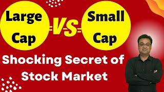 Large Cap versus Small Cap Portfolio | best multibagger shares 2022 | share market for beginners