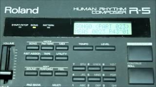 Roland R-5 Human Rhythm Composer Factory Demo Song and Preset Pad Banks