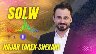 Hajar Tarek Shexani ka roje xwesh 2025 | Slow NEW | هژار طارق شيخاني كا روزيت خوش  - اغاني هادئه