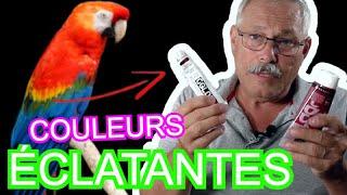 Comment faire des couleurs vives en peinture ?