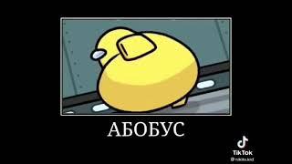 АБОБУС 10 ЧАСОВ