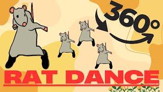 Rat dance ! | VR 360° 4K 60FPS