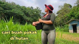 Cari buah pokak , Menjaring ikan di sungai kecil pinggiran hutan