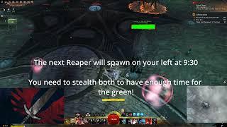 How to: Thief Solo Train Greens on Dhuum [RTI] - 2024