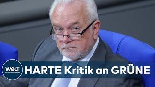 GRÜNER "STEUERPRANGER": Kubicki geht bei Steuerbetrugs-Meldeplattform richtig steil | WELT Interview