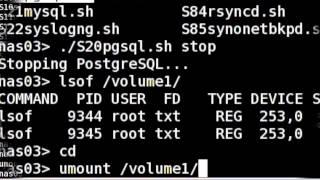 Synology Nas Server Check Disk [ e2fsck Command ]