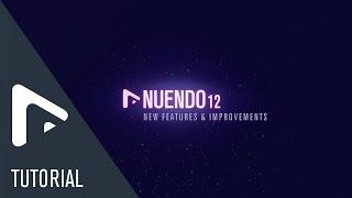 What's New in Nuendo 12 | The New Home of Dialogue