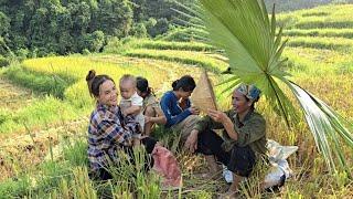 Hired to harvest rice.Gardening, growing vegetables under the guidance of an agricultural technician