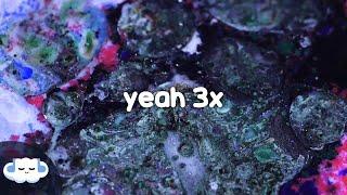 Chris Brown - Yeah 3x (Clean - Lyrics)