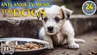 24 Hours Anti Anxiety Music for Dogs - Cure Separation Anxiety for Dog & Calming Stress Relief Dogs