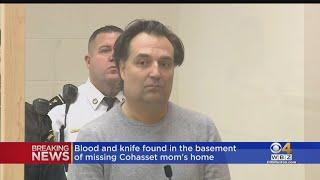 Police found bloody knife in home basement of missing Cohasset mother Ana Walshe; husband held on $5