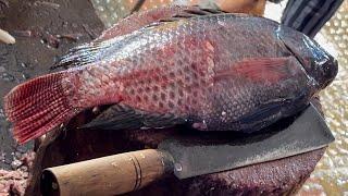 Incredible Big Tilapia & Katla Fish Cutting By Expert Fish Cutter | Fish Cutting Skills