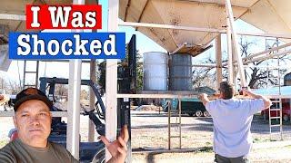 Grain For Goats | Time To Feed Grain To The Goats | Kiko Goats