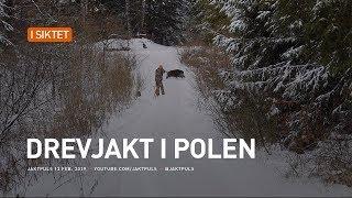 Drevjakt i Polen