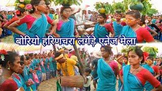 Borio Harinchra Lagre Enej Mela // Santali Video