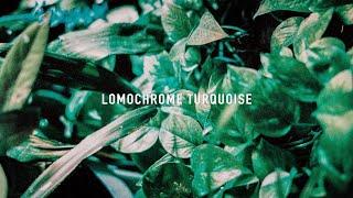 LomoChrome Turquoise