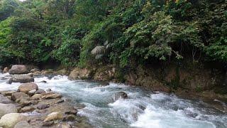 ASMR Soothing Nature River Sounds for Sleep, No Birds, WHITE NOISE Sumatra Nature Scenery