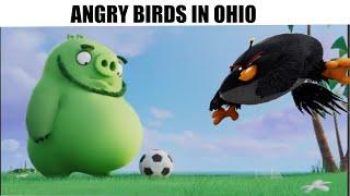 normal day in angry birds ohio 