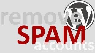 How to remove SPAM users in WordPress