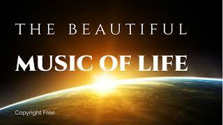 The Music of Life | Copyright free background music