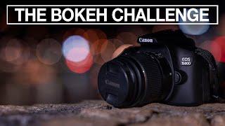Photography Challenge # 14 - The bokeh challenge - how to blur backgrounds for beginners.