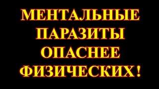 Убеждать кого-либо – напрасное дело, особенно, когда это касается оздоровления и просветления.