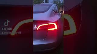 Tesla Model 3 Rear LED