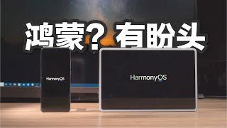 鸿蒙OS半月体验：这系统到底行不行？#华为 #鸿蒙 #harmonyos