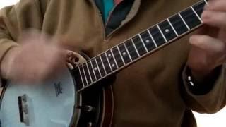 Banjolele! Testing my new Harley Benton BJU-15Pro Banjo Ukulele with 'My Blue Heaven'