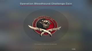 Using Operation Bloodhound Access Pass in 2021 - CSGO