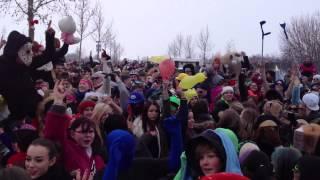 Harlem Shake in Pocking