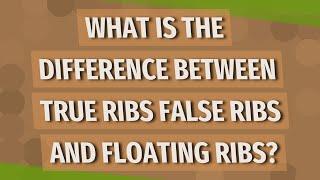 What is the difference between true ribs false ribs and floating ribs?