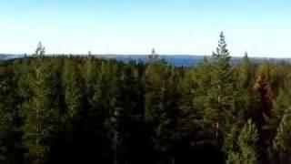 360 degrees from a bird observation tower in Paalasmaa