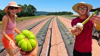 CRAZY. BIG. HARVEST.